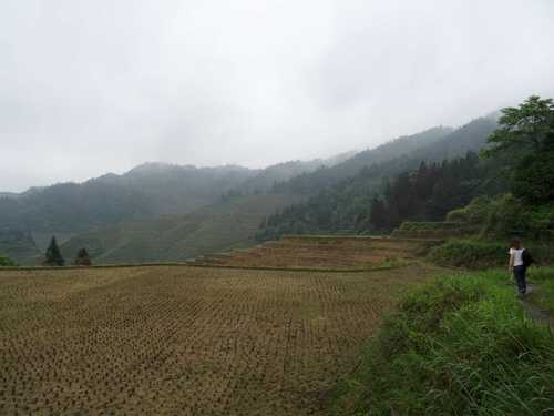 DSC00287-1600