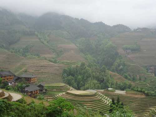 DSC00428-1600