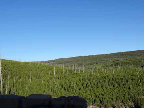 dsc08346-1024