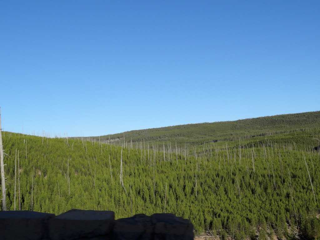 dsc08346-1024